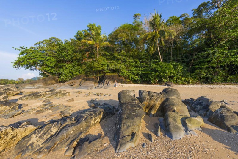 Walk at the beach landscape at Silent beach in Khao lak, beach, sandy beach, panorama, beach panorama, stony, rocks, beach holiday, holiday, travel, tourism, sea, seascape, coastal landscape, landscape, rocky, stony, ocean, beach holiday, flora, tree, palm, palm beach, forest, nature, lonely, dream beach, beautiful, weather, climate, sunny, sun, paradise, beach paradise, Thailand, Asia
