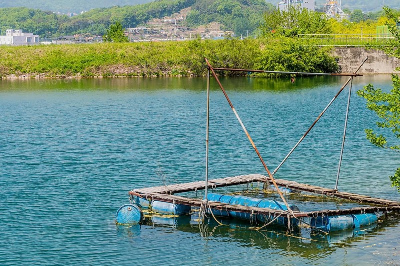 Rustic homemade floating dock with barrels on a calm river, in South Korea