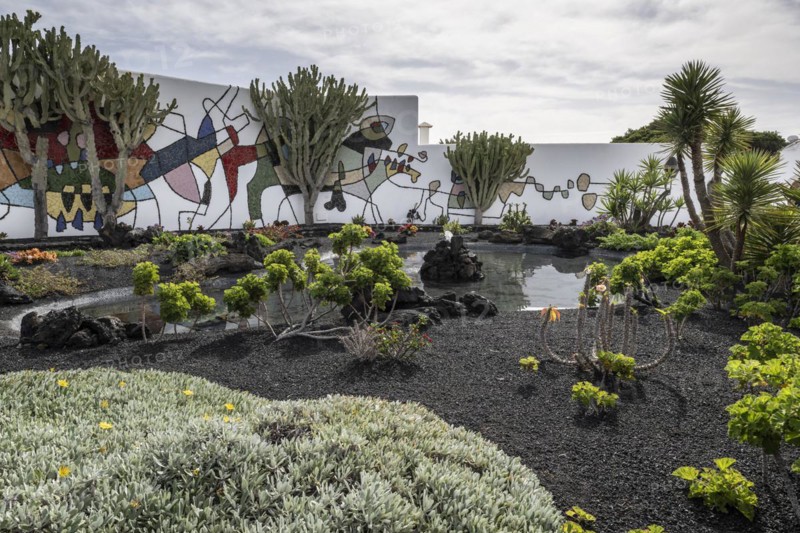 Garden in the inner courtyard of the Fundacion Cesar Manrique, Lanzarote, Canary Islands, Spain, Europe