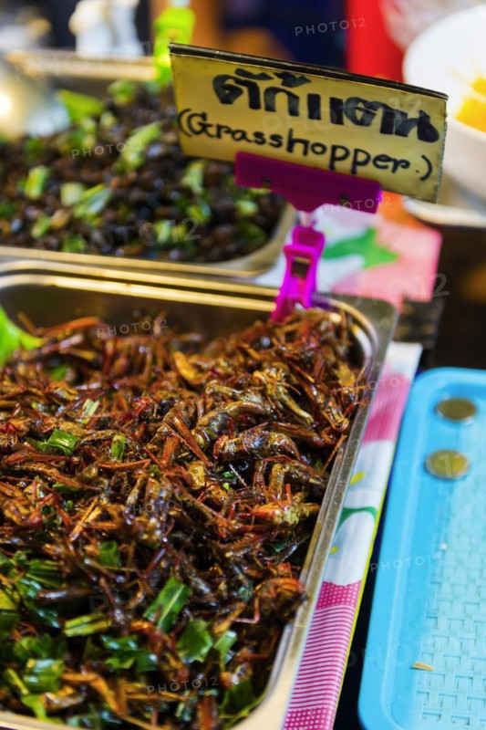 Roasted grasshoppers at the evening market in Krabi, food, nutrition, future, future, food, poverty, developing countries, nutrition, world food, strange, getting used to, grilled, roasted, kitchen, preparation, sale, exotic, insects, protein, vitamins, healthy, health, disgust, overcoming, tourism, travel, Thailand, Asia