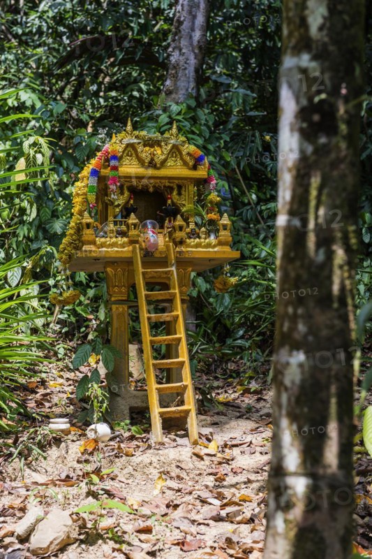Buddhist temple in the rainforest, jungle, offering, religion, Buddhism, world religion, statue, sculpture, worship, God, icon, faith, believe, culture, history, cultural history, cult, church, golden, gold, leader, travel, holiday, tourism, Kao Lak, Thailand, Asia