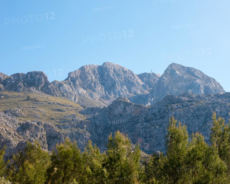 Blue sky over a picturesque, sunny mountain landscape, bare, steep rocky peaks, green trees, pine trees (Pinus) in the foreground, view from the north to the peak Puig Major with radar station, view from the road from Torrent de Pareis to Sa Calobra, Serra de Tramuntana mountains, Majorca, Spain, Europe