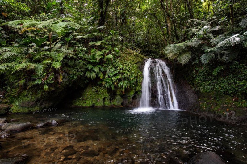 Pure nature, a waterfall with a pool in the forest. The Ecrevisses waterfalls, Cascade aux ecrevisses on Guadeloupe, in the Caribbean. French Antilles, France, Europe