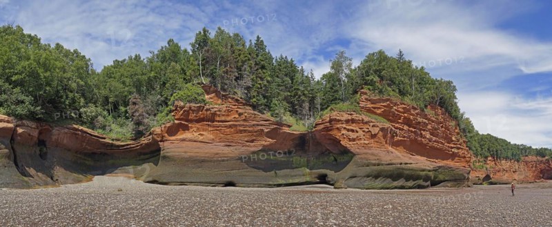 Wooded cliffs, red sandstone, Five Islands Provincial Park, Fundy Bay, Nova Scotia, Canada, North America