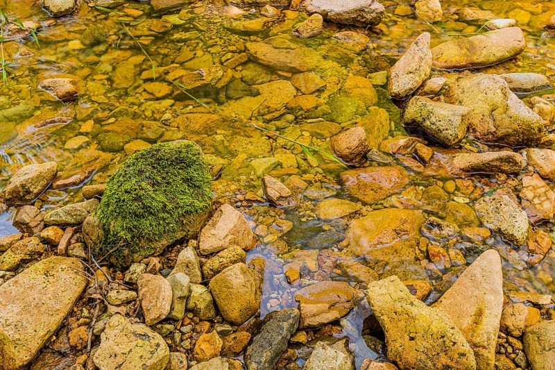 A vibrant stream flows over pebbles with a single moss-covered rock standing out, in South Korea