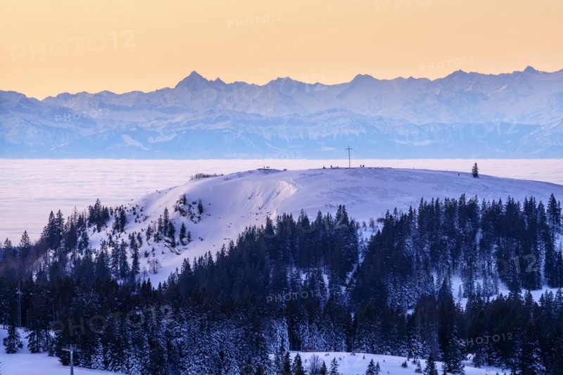 View from the Feldberg over the Herzogenhorn to the Swiss Alps, in front of sunrise, Breisgau-Hochschwarzwald district, Baden-Wuerttemberg, Germany, Europe