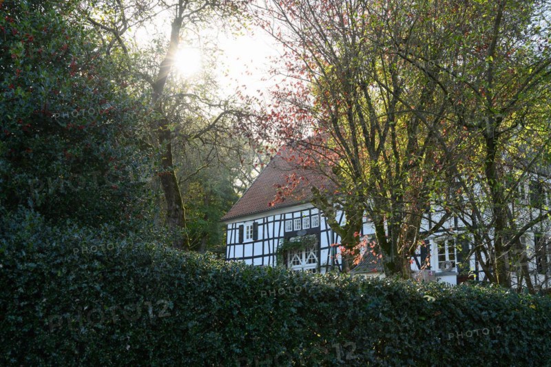 The morning sun shines through the trees and illuminates a traditional half-timbered house, Schee, Gennebreck, Sprockhoevel, North Rhine-Westphalia