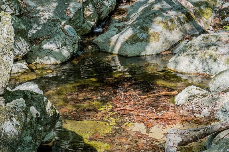 A placid pond with clear water surrounded by large rocks and forest debris, in South Korea