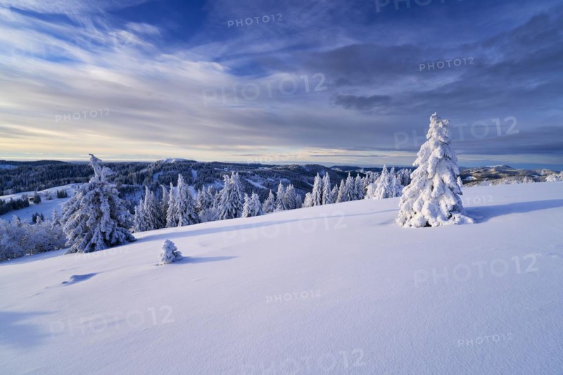 Winter on the Feldberg, Breisgau-Hochschwarzwald district, Baden-Wuerttemberg, Germany, Europe
