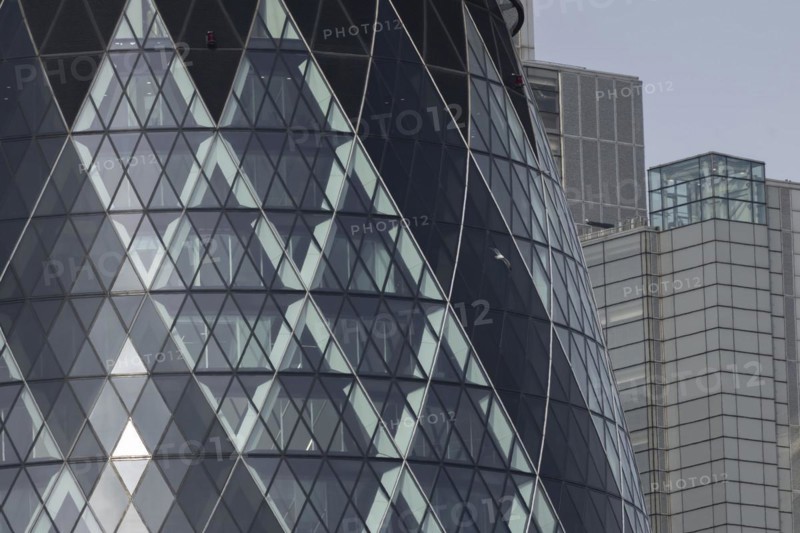 The Gherkin skyscraper building close up of window details with a Herring gull (Larus argentatus) bird flying past, City of London, England, United Kingdom, Europe