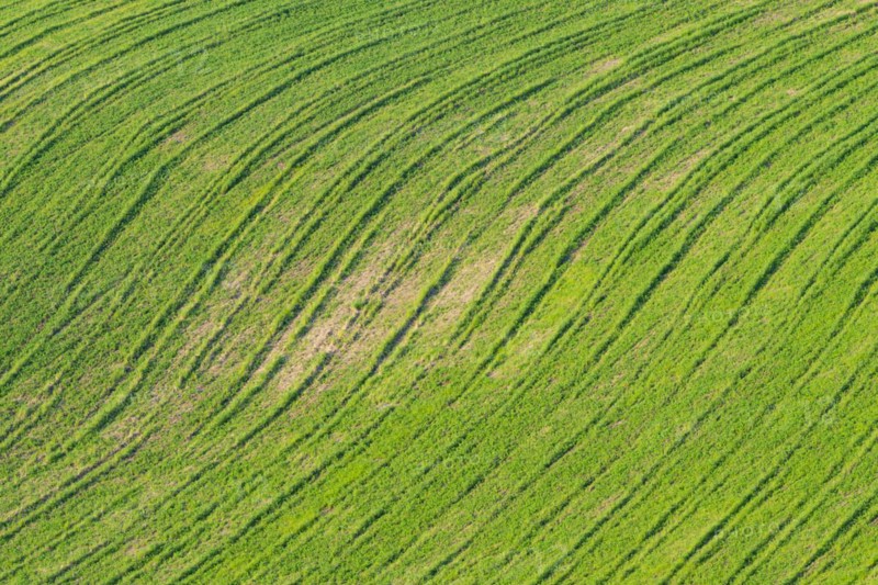 Traces on a cultivated area, Crete Senesi, Province of Siena, Tuscany, Italy, Europe