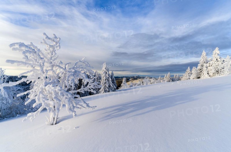 Winter on the Feldberg, Breisgau-Hochschwarzwald district, Baden-Wuerttemberg, Germany, Europe