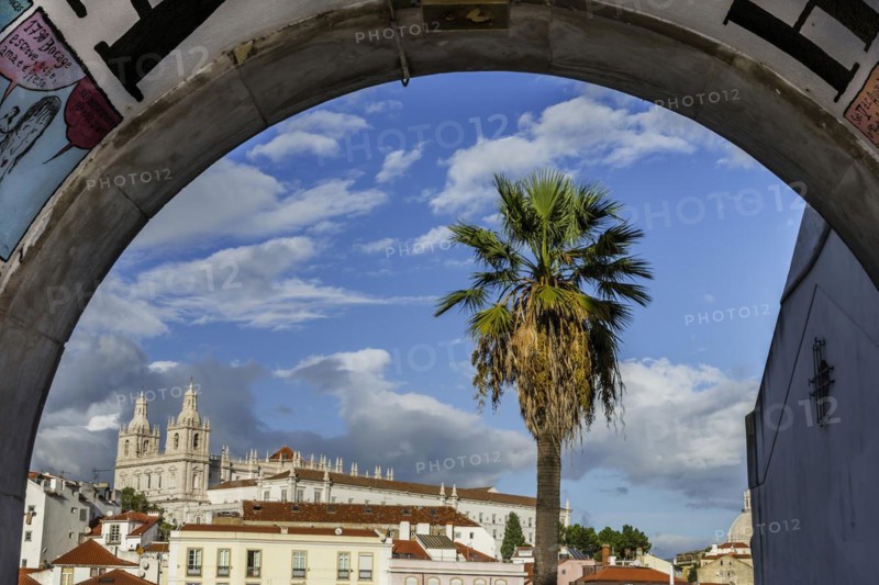 View of the Alfama, city view, tourism, travel, city trip, urban, building, historic, old town, centre, overview, cathedral, church, attraction, famous, viewpoint, architecture, palm tree, summer holiday, capital, Lisbon, Portugal, Europe