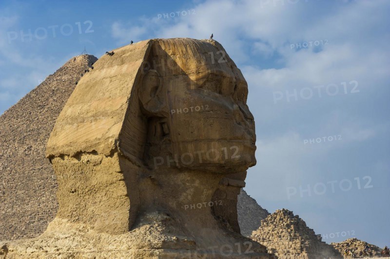 Sphinx of Giza, desert, wonder of the world, building, sculpture, monument, architecture, structure, ancient, history, history of the earth, history of mankind, monument, world history, epoch, kingdom, pharaoh, limestone, monument, human head, lion body, attraction, famous, landmark, Cairo, Egypt, Africa