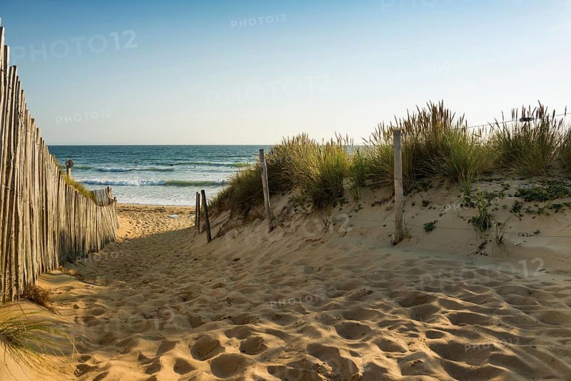 Path through the dunes to the beach, Quiberon peninsula, Brittany, France, Europe