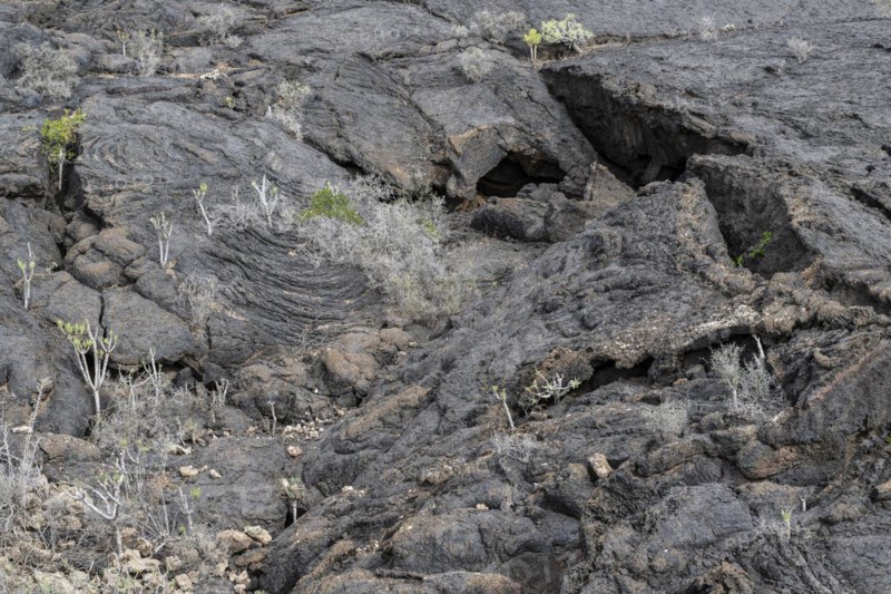 Lava structures, Costa Teguise, Lanzarote, Canary Islands, Spain, Europe