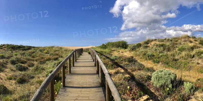 Walkway through the dune landscape, dune, beach, summer holiday, panorama, nature, natural landscape, sky, path, walkway, path, esoteric, esoteric, calm, Atlantic coast, landscape, hike, hike, heather, coastal landscape, nature conservation, travel, holiday, emotion, message, symbolic, active holiday, tourism, national park, Southern Europe, Algarve, Carrapateira, Portugal, Europe
