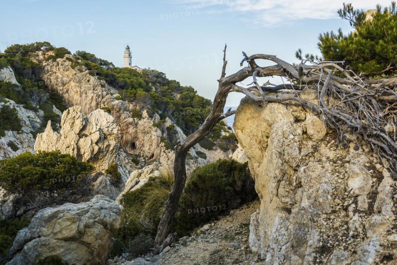 Far de Capdebera lighthouse, Cala Rajada, Majorca, Majorca, Balearic Islands, Spain, Europe