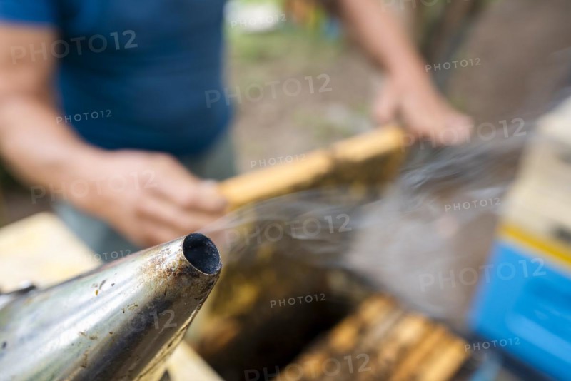 Fantastic beehive producing honey, nature, man and bee, sweet honey, honeycomb, nectar, beekeeping, Poland, Europe