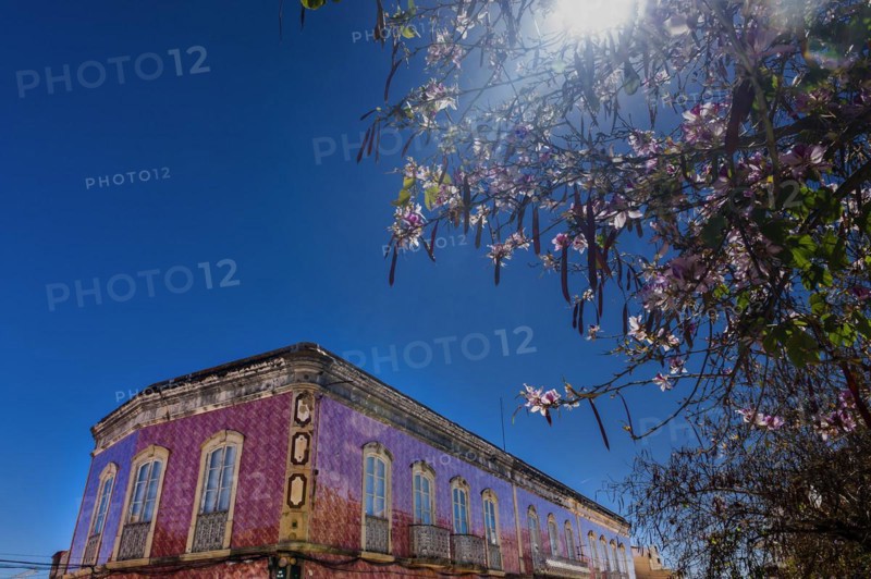 House with azulejo facade, old building, architecture, tiles, craft, traditional, tradition, building, property, tile, architecture, tree, plant, red, pink, colour scheme, decoration, living, old town, old building, city trip, Silves, Algarve, Portugal, Europe