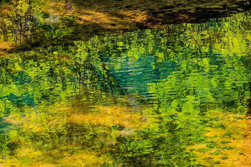 Reflection of a tree and its leaves in a shallow stream on a bright sunny day in South Korea