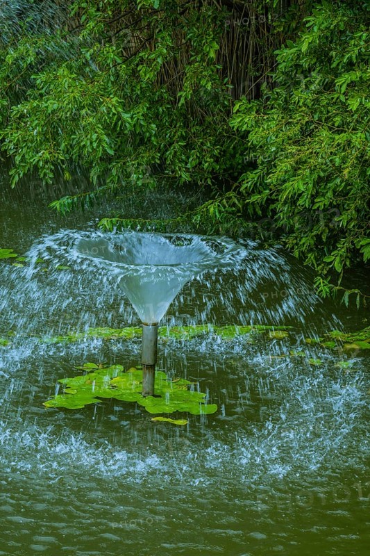 Fountain with intense water spray surrounded by water lilies and dense greenery, in South Korea