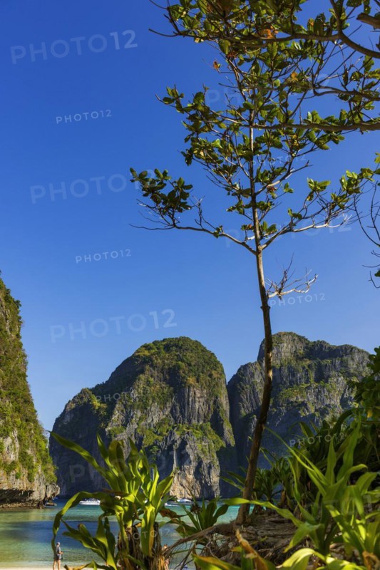 Maya Bay on Ko Phi Phi Don, beach, holiday, beach holiday, holiday paradise, paradise, tourism, dream beach, sea, bay, beach holiday, coast, tropical, tropics, idyllic, island, mountains, limestone, limestone rocks, beach landscape, landscape, nature, Ko Phi Phi, Thailand, Asia