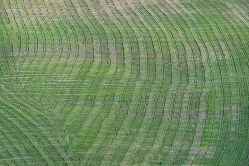 Traces on a cultivated area, Crete Senesi, Province of Siena, Tuscany, Italy, Europe