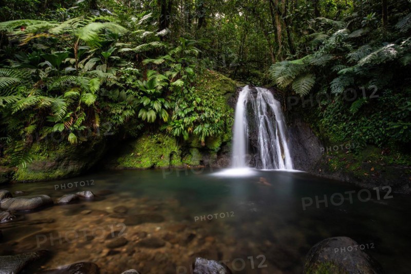 Pure nature, a waterfall with a pool in the forest. The Ecrevisses waterfalls, Cascade aux ecrevisses on Guadeloupe, in the Caribbean. French Antilles, France, Europe