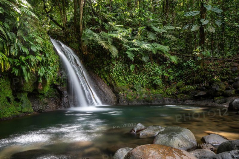 Pure nature, a waterfall with a pool in the forest. The Ecrevisses waterfalls, Cascade aux ecrevisses on Guadeloupe, in the Caribbean. French Antilles, France, Europe