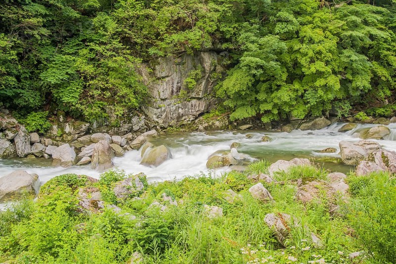 Gentle flowing water through a riverbed with boulders and lush greenery, in South Korea