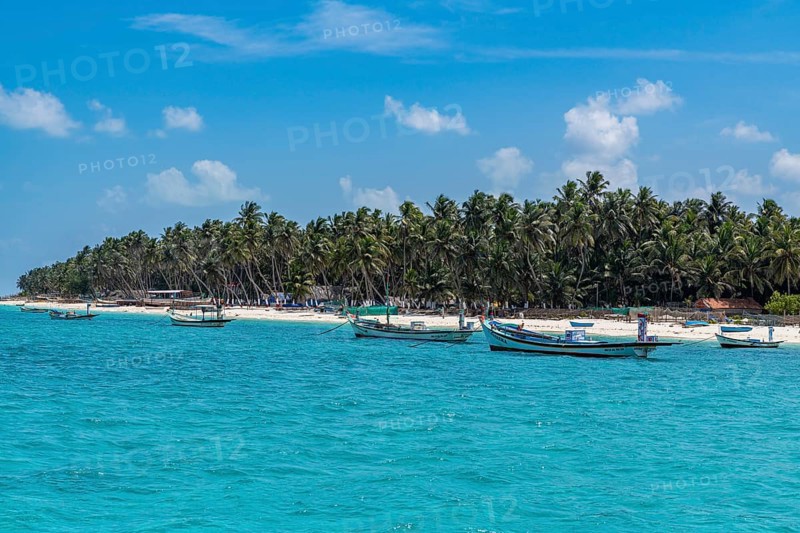 Little boats before a palm fringed white sand beach, Agatti Island, Lakshadweep archipelago, Union territory of India