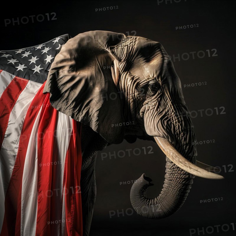 Profile view of a majestic elephant, the political symbol for the Republican Party, with an American flag wrapped around its shoulders, AI generated