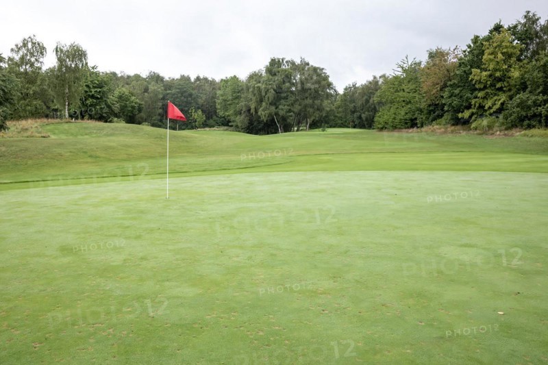 A quiet golf course with a red flag on the green and surrounded by trees