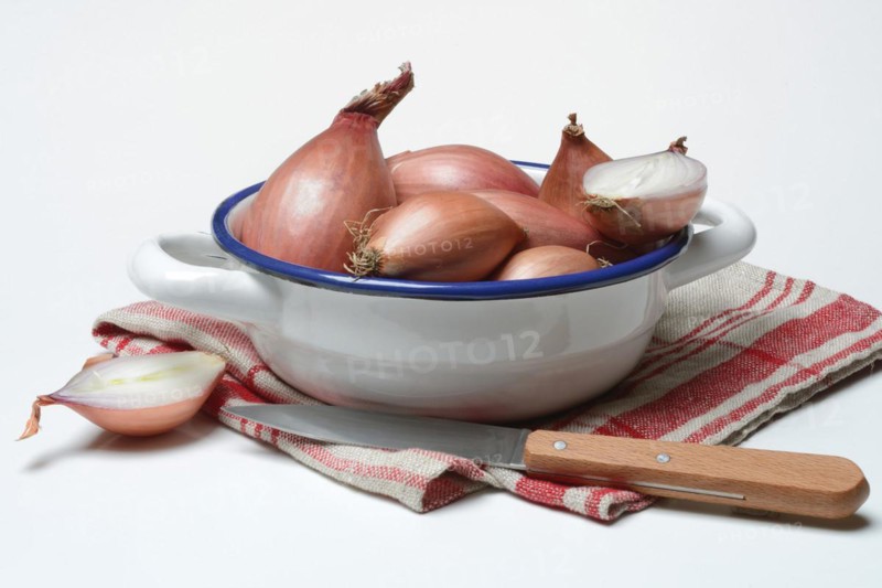 Shallots in peel, Allium cepa