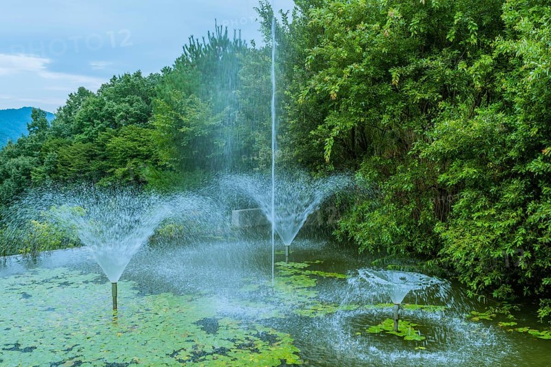 A tranquil pond with fountains, water lilies, and surrounded by green trees, in South Korea
