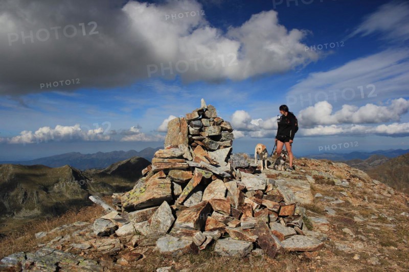 Person with dog hiking on a mountain trail with stones, Amazing Dogs in the Nature