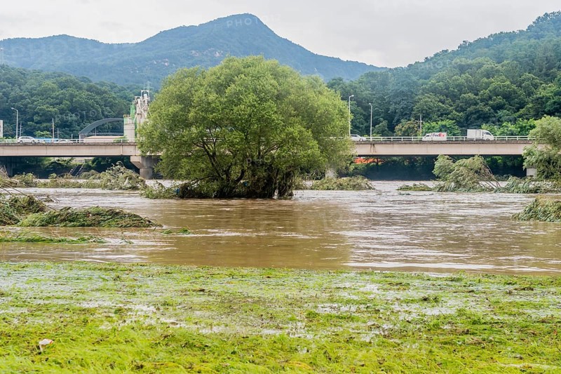 Swollen river and flooded areas with trees, under a cloudy sky, in South Korea