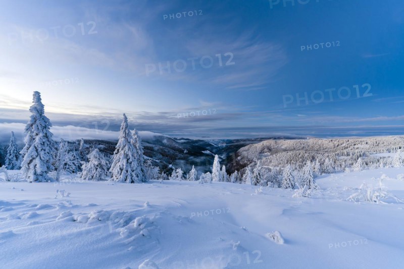 Winter on the Feldberg in front of sunrise, Breisgau-Hochschwarzwald district, Baden-Wuerttemberg, Germany, Europe