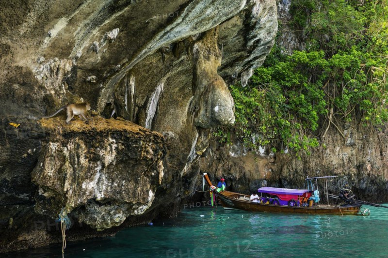 Monkey beach at Maya Bay, monkey, monkey beach, animal, boat, wooden boat, bay, bay of the sea, sea, ocean, Andaman Sea, tropics, tropical, island, rock, rock, water, fishing boat, travel, tourism, limestone, natural landscape, paradisiacal, holiday, dream trip, holiday paradise, flora, paradise, coastal landscape, nature, idyllic, turquoise, Siam, exotic, travel photo, Ko Phi Phi Don, Thailand, Asia