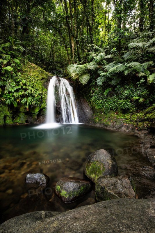 Pure nature, a waterfall with a pool in the forest. The Ecrevisses waterfalls, Cascade aux ecrevisses on Guadeloupe, in the Caribbean. French Antilles, France, Europe