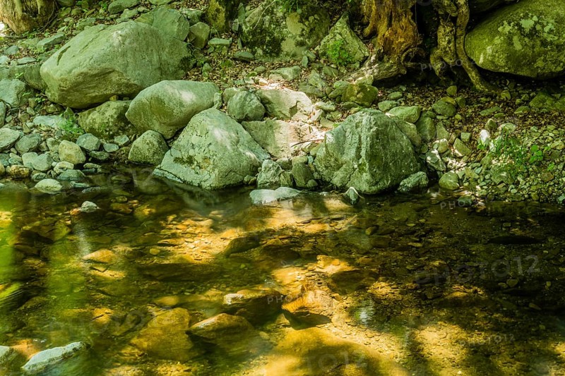 Sunlight reflects off the clear water of a rock-filled forest stream, in South Korea