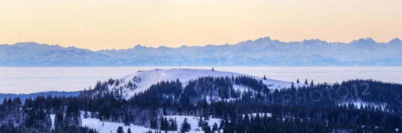 View from the Feldberg over the Herzogenhorn to the Swiss Alps, in front of sunrise, Breisgau-Hochschwarzwald district, Baden-Wuerttemberg, Germany, Europe