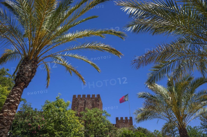 The castle of Silves with Portuguese national flag, building, old, history, palm tree, blue sky, Middle Ages, Moorish, Moors, historical, history, Algarve, Portugal, Europe