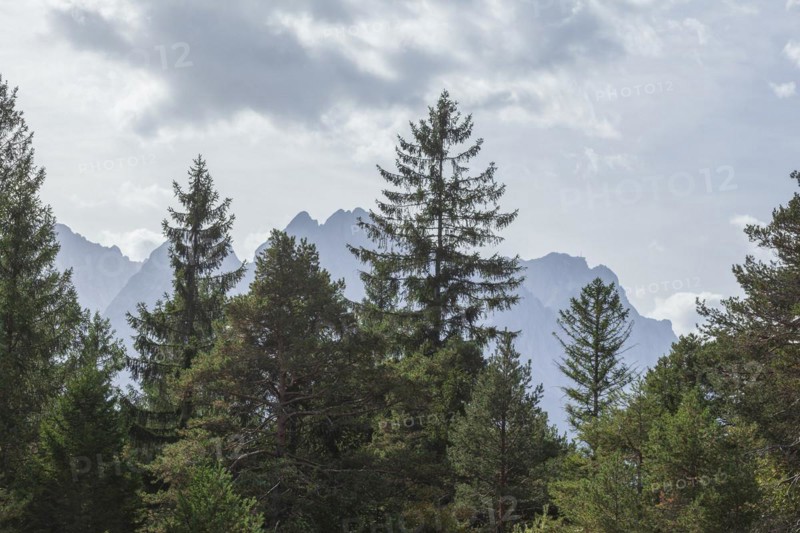 Wetterstein mountains with Zugspitze massif and forest in autumn, hiking trail Kramerplateauweg, Garmisch-Partenkirchen, Upper Bavaria, Bavaria, Germany, Europe
