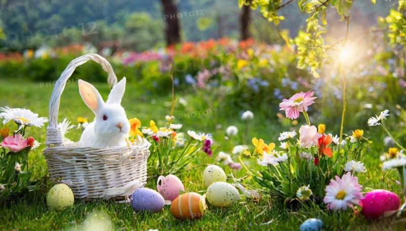 Ai generated, An Easter basket with coloured eggs in a meadow with colourful flowers, in the basket a white rabbit, symbolic picture Easter, animal children, dwarf rabbit