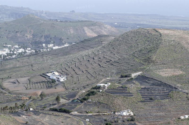 Agriculture terraced landscape seen from the Mirador del Guinate, Haria, Lanzarote, Canary Islands, Spain, Europe
