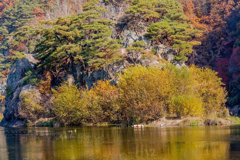 Autumnal trees by the water with cliffs in the background, reflecting on the surface, in South Korea