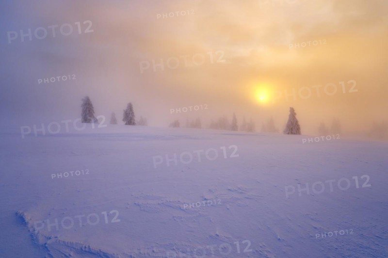 Winter on the Feldberg at sunrise, Breisgau-Hochschwarzwald district, Baden-Wuerttemberg, Germany, Europe