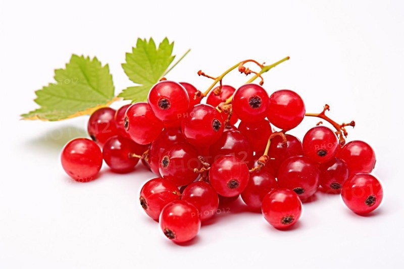 Red currant fruits on white background. KI generiert, generiert AI generated